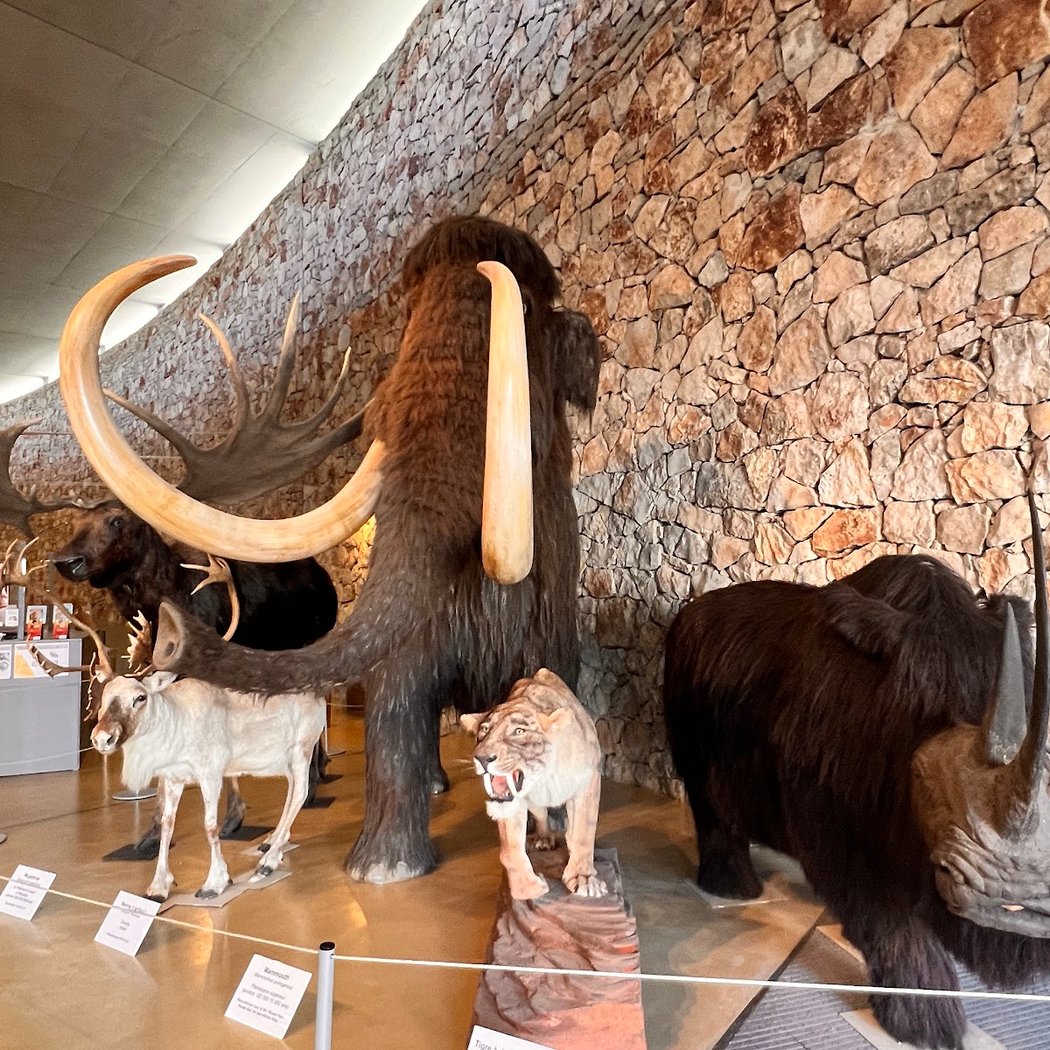 Museum of Prehistory of the Gorges du Verdon 2