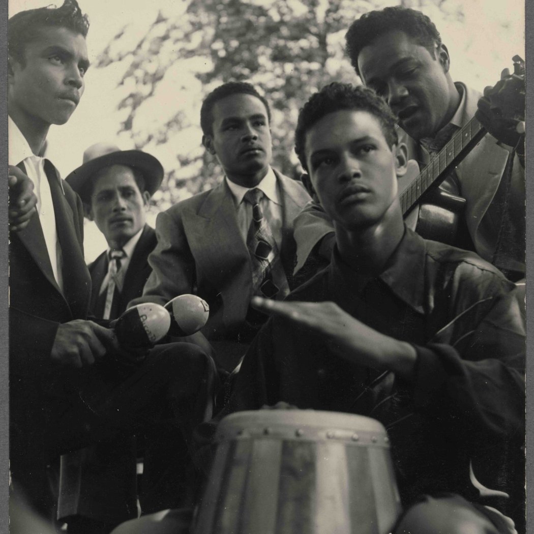 WHERE ROSES GROW: A Look At Rómulo Lachatañeré's Harlem 2