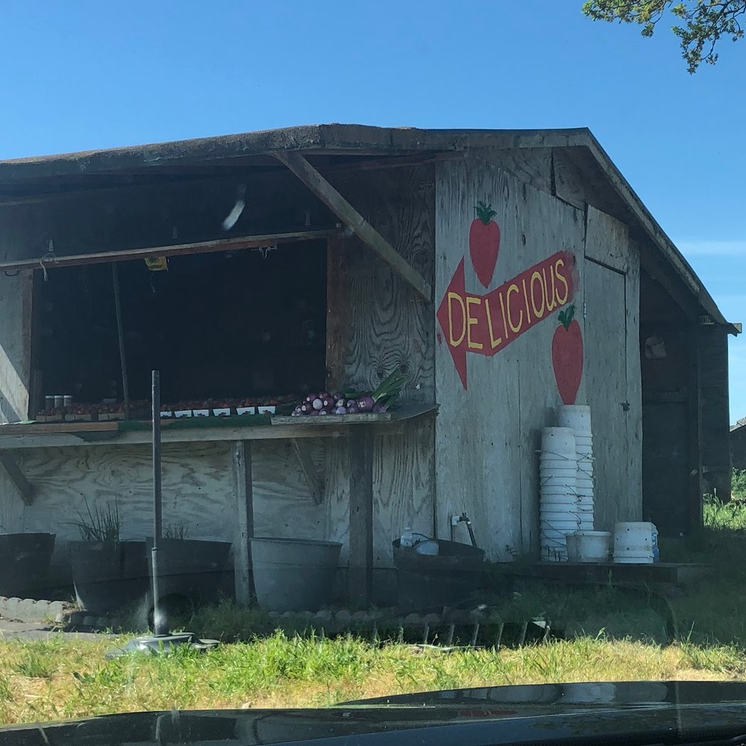 Stony Point Strawberry Farm 2