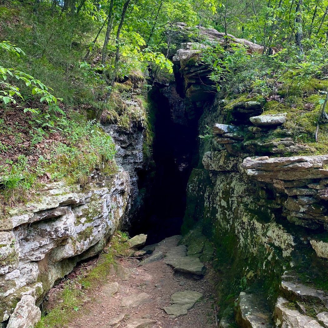 Devil's Den State Park 3