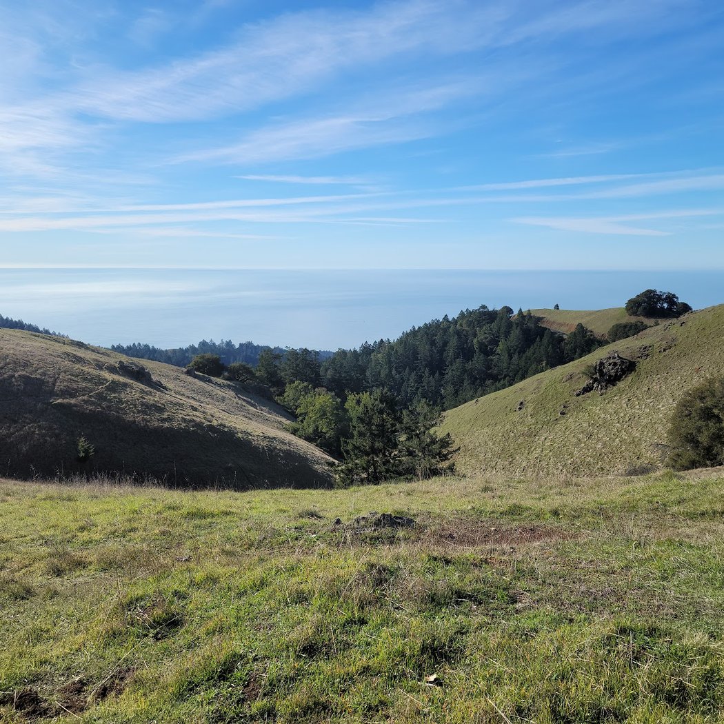 Walking Mt. Tam: Trails of Creativity 1