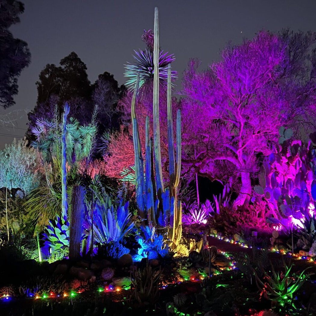 Garden of D'Lights 1