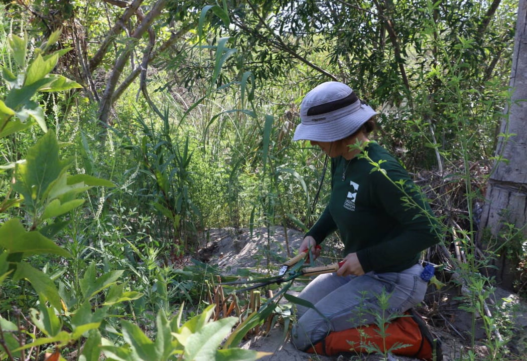 Keep It Wild – LCF Native Plant Nursery