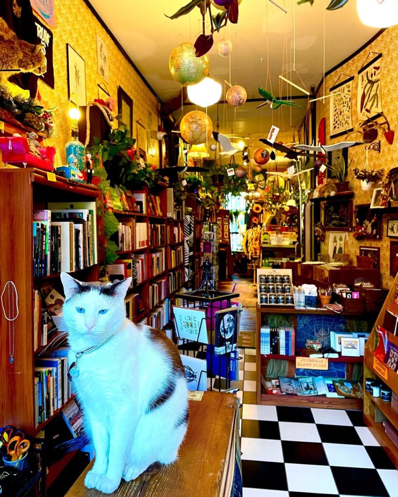Quimby's Bookstore NYC 3