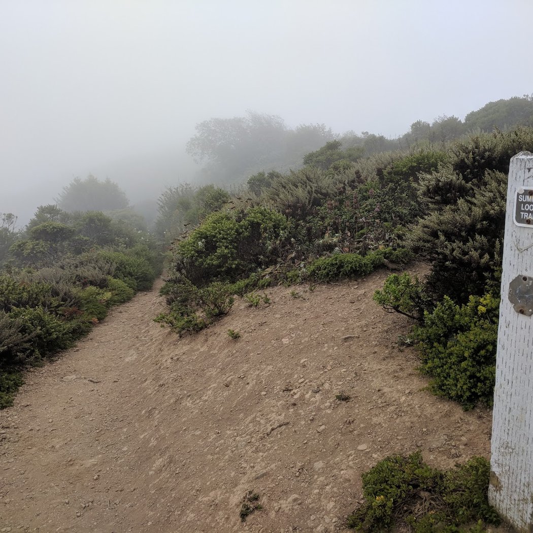 Summit Loop Trail 2