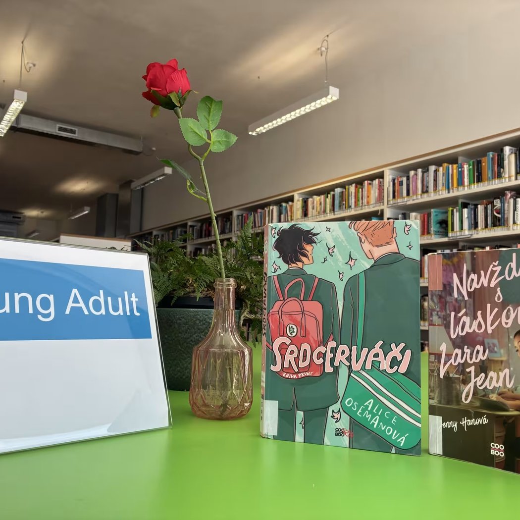 O překladu young adult literatury