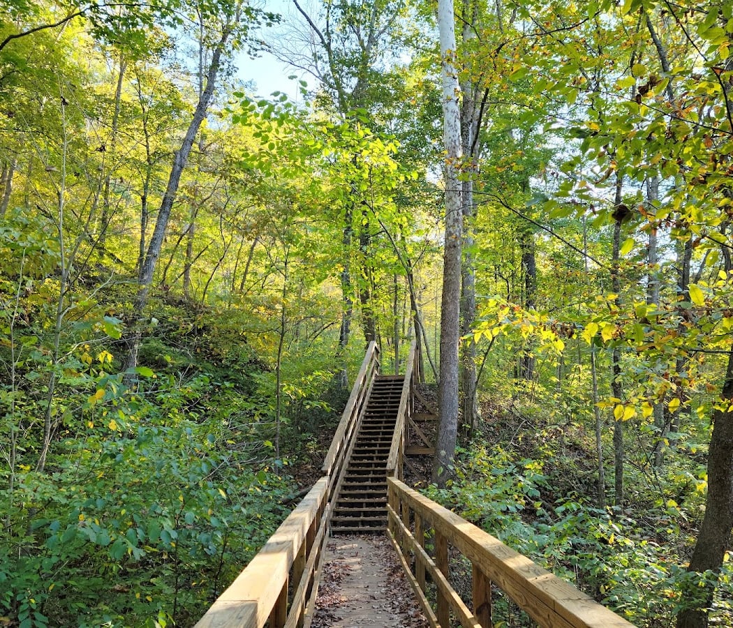 Back to LaBarque Creek 1