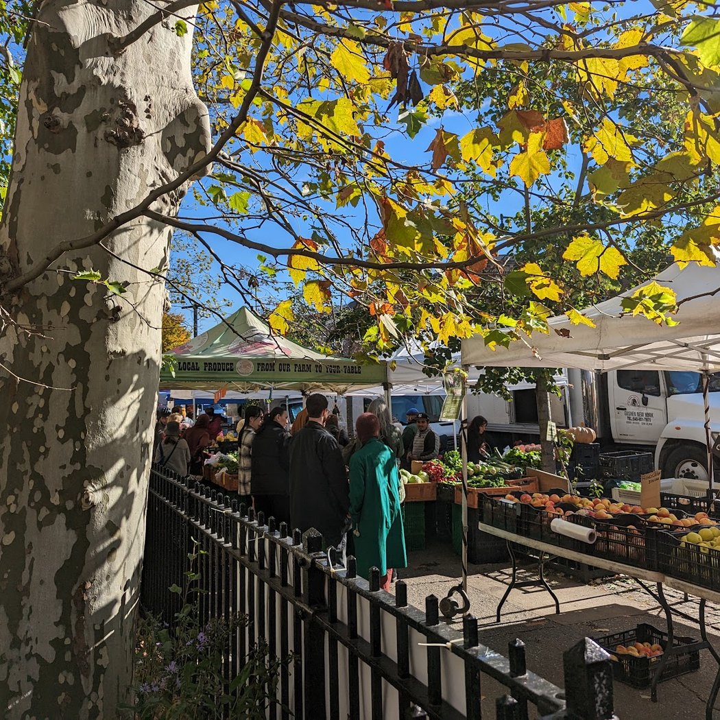 Cortelyou Greenmarket 1