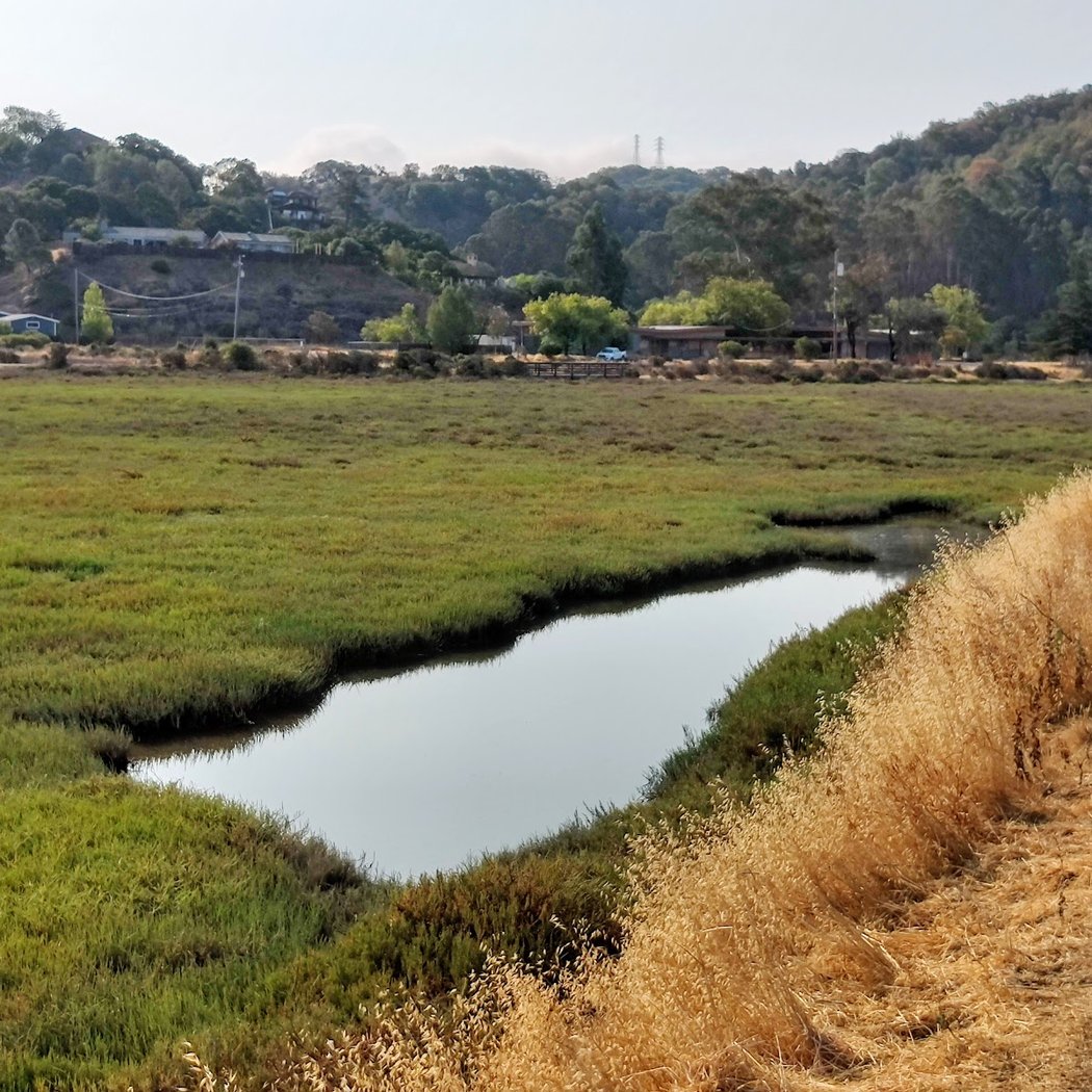 Santa Venetia Marsh Preserve 2