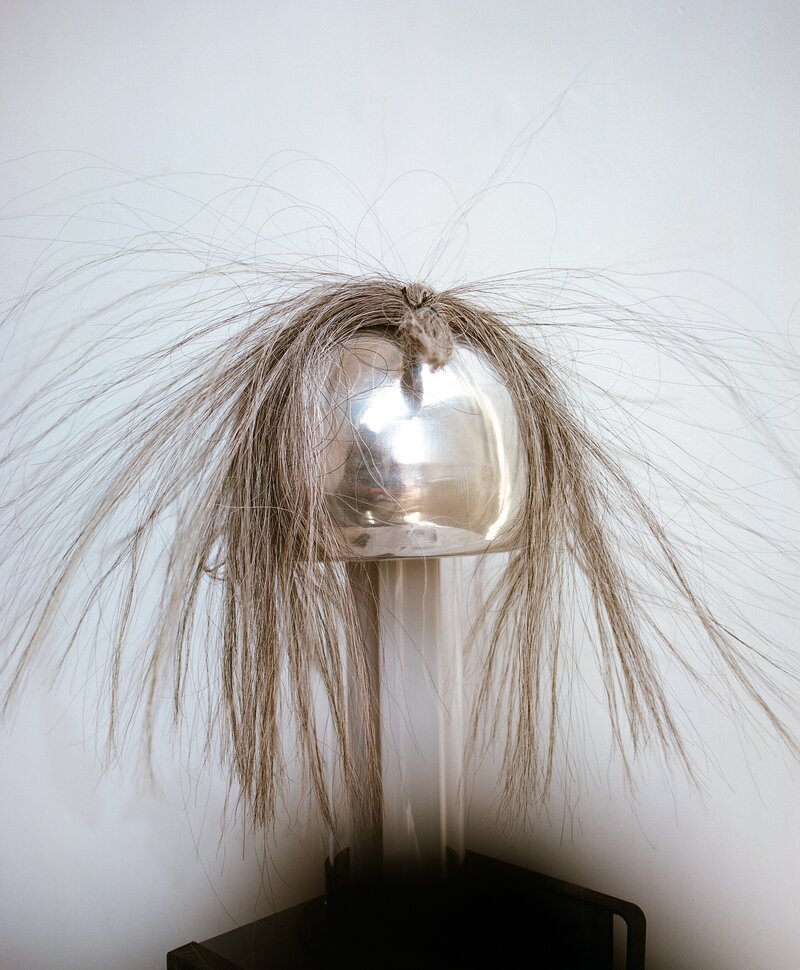 Sample Question, Nina Porter, Fotografie, Ausstellung 1