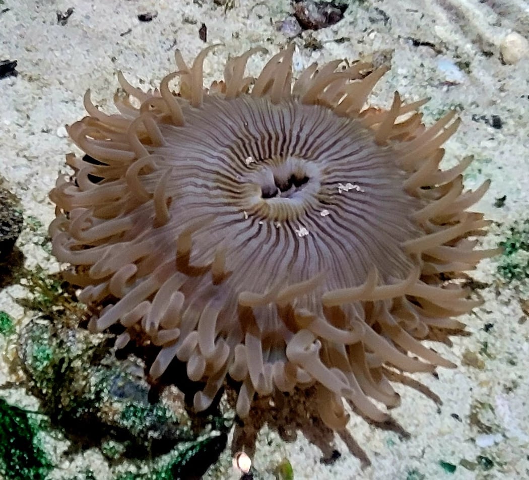 Connect with Nature 1