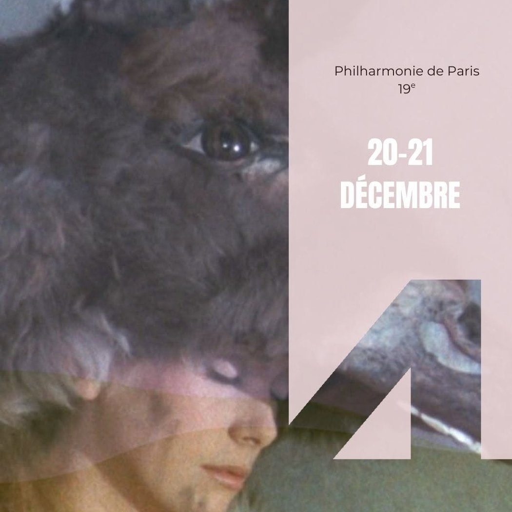 PEAU D'ÂNE 1