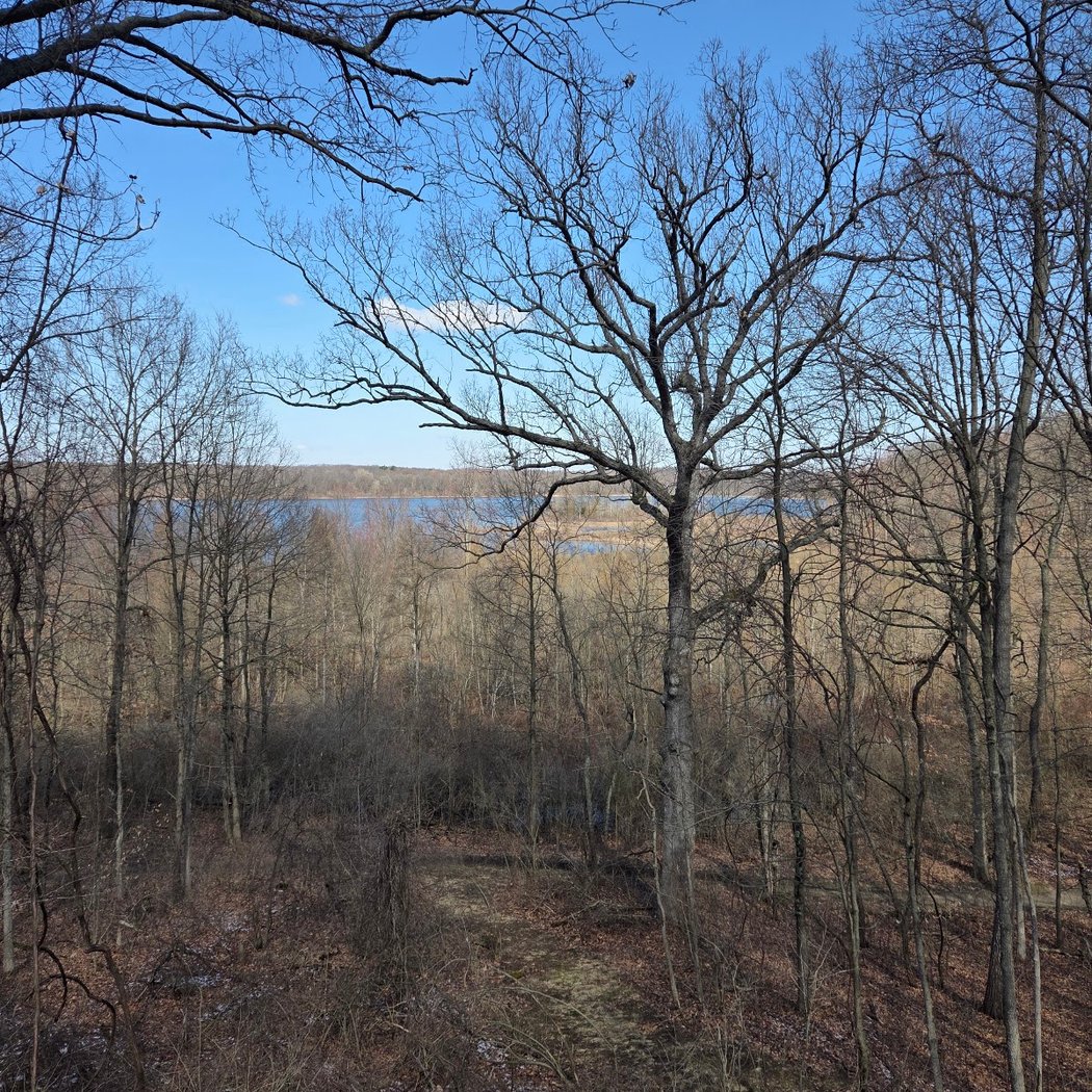 Winter Orienteering 2