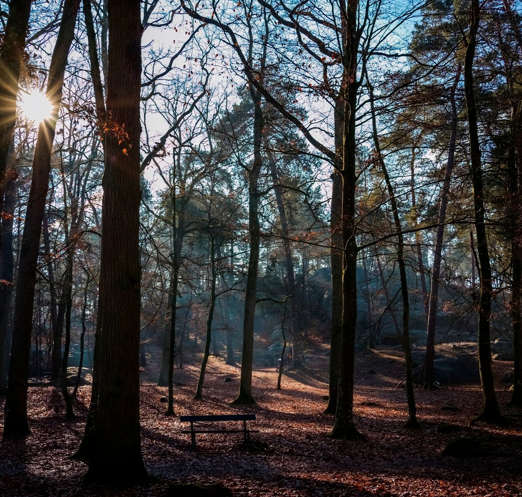 Les Gorges d'Apremont 1