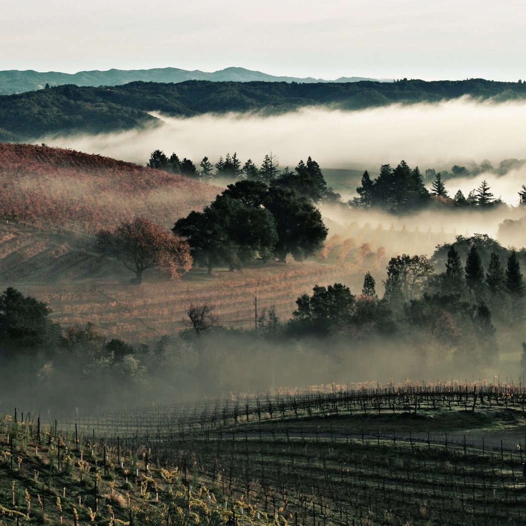 Hawley Winery Estate - Dry Creek Valley 1