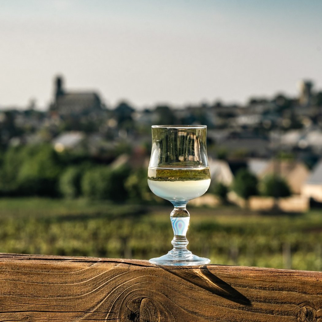 Domaine DELAUNAY - Vignoble et Verger en Anjou (entre Angers et Nantes) 1