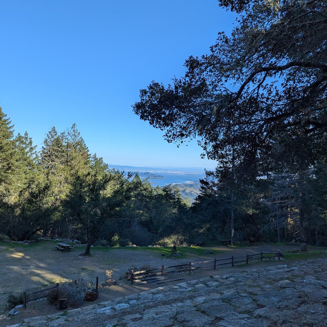 Walking Mt. Tam: Trails of Creativity 2