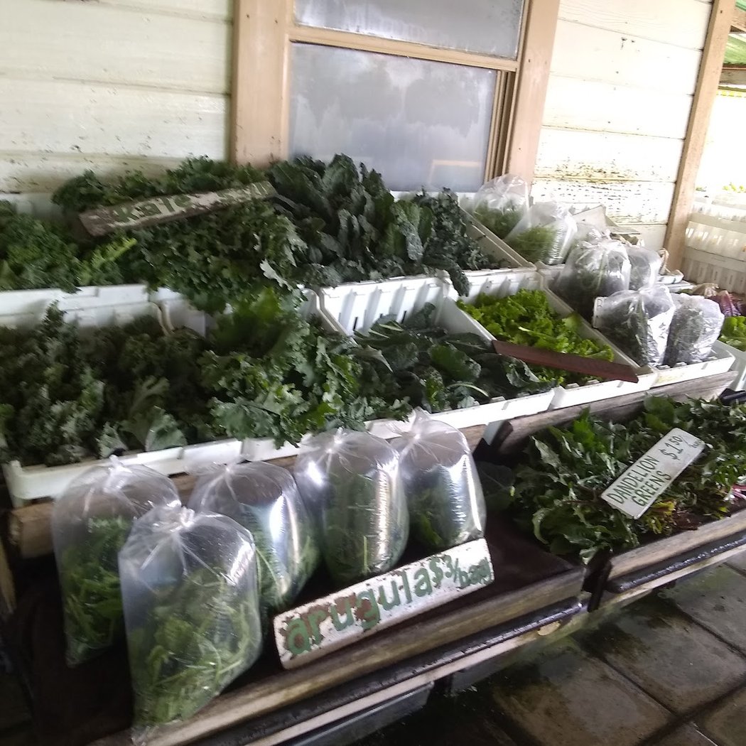Green String Farm 3