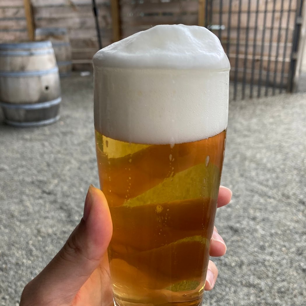 Beer Dinner 2