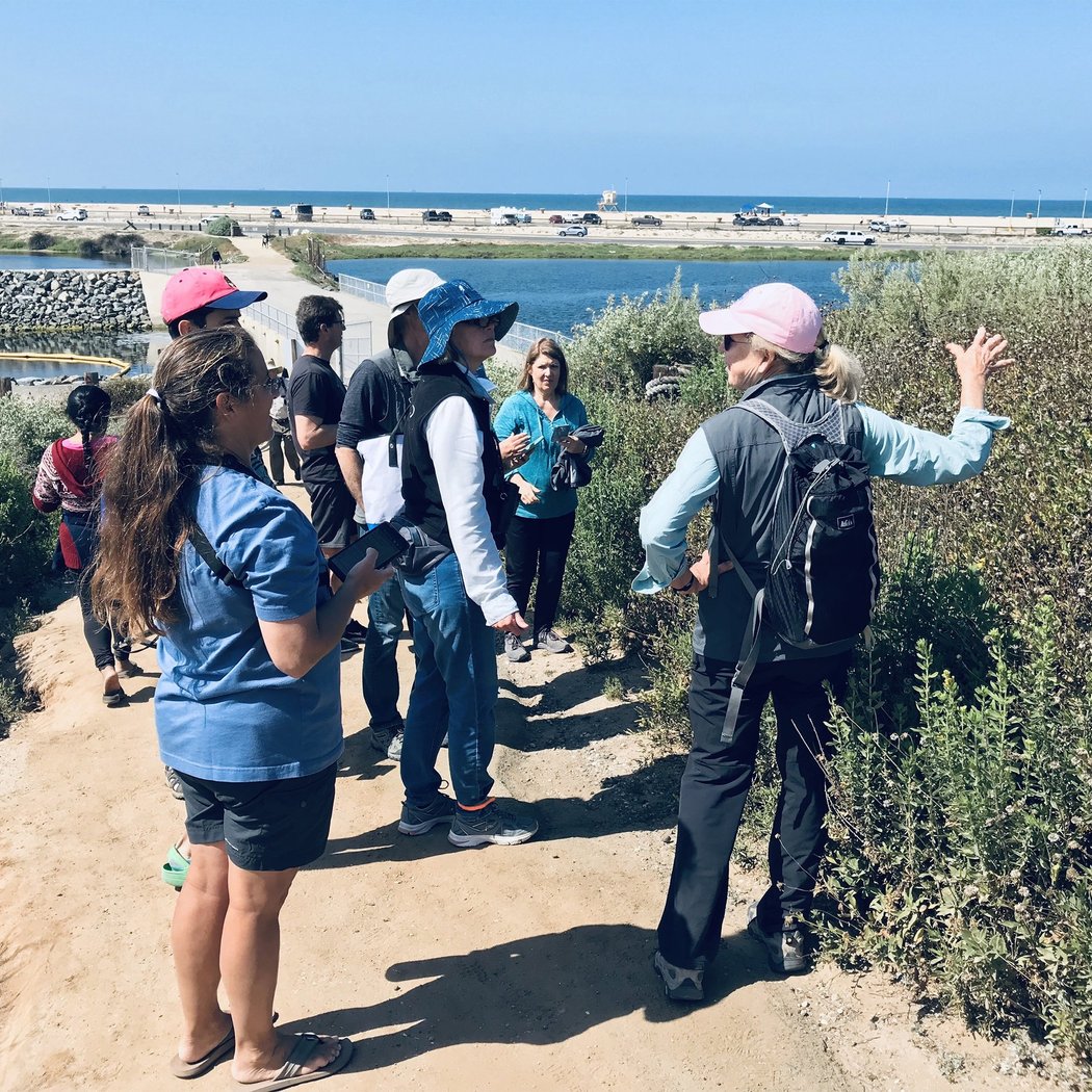 Bolsa Chica Ecological Reserve Public Tour 1