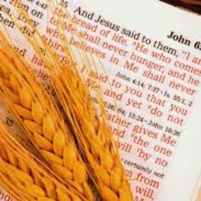 Midweek Bible Study 1