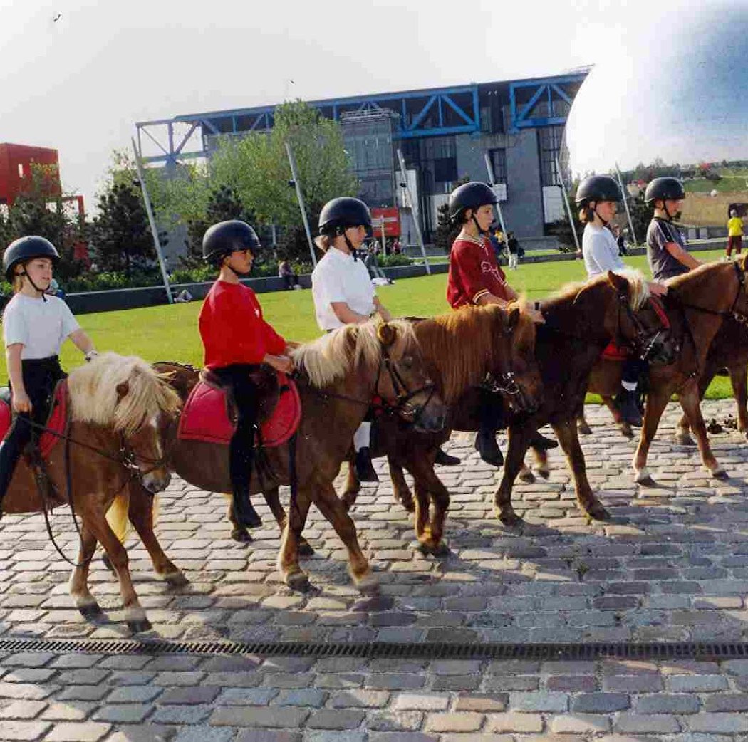 Centre Equestre de la Villette 1