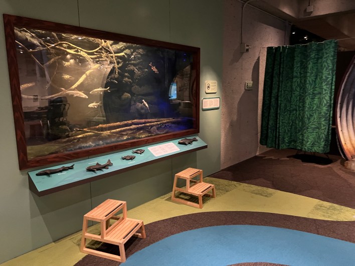 City of Oakland: Natural Sciences Division 2