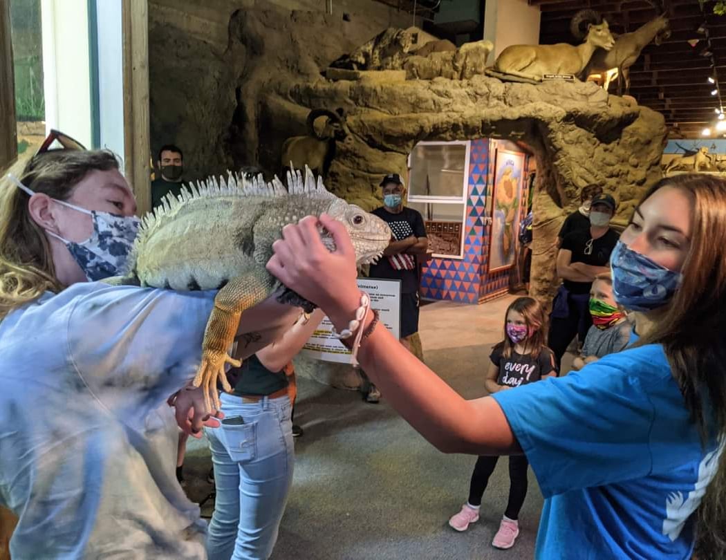Petaluma Wildlife Museum 1