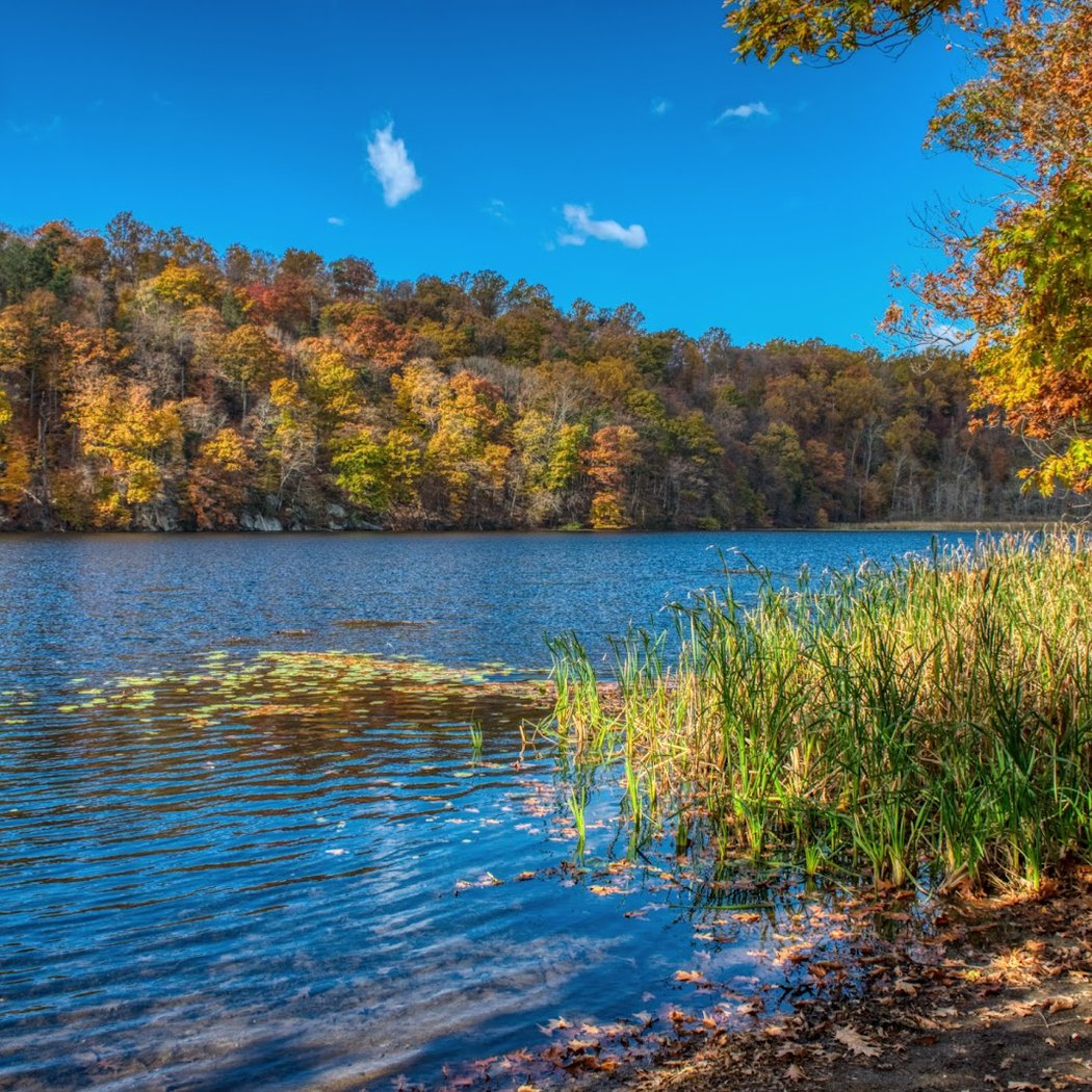 Wampus Pond Park 1