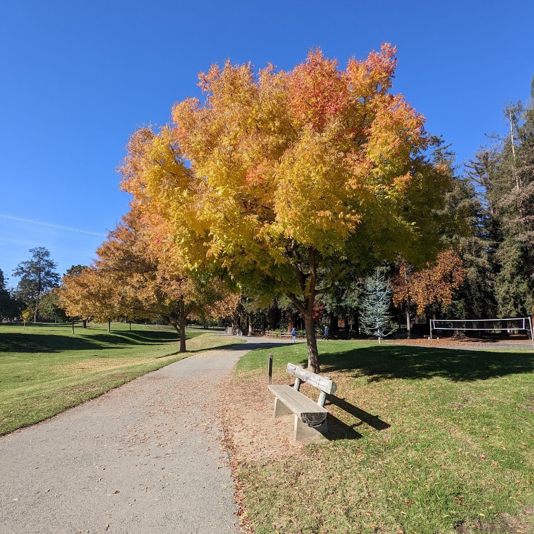 Cuesta Park 1