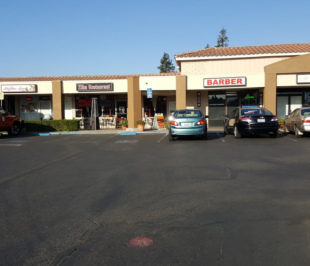 Ziba Persian Restaurant 3