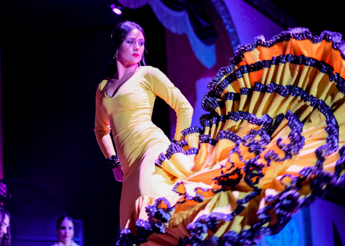 Tablao Flamenco El Palacio Andaluz 1