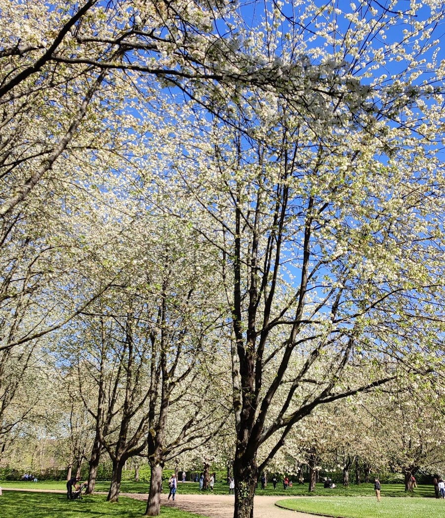 Sports de la Grenouillère State Park 2