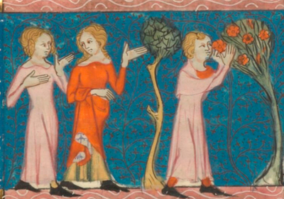 À la recherche du rose médiéval et renaissant 1