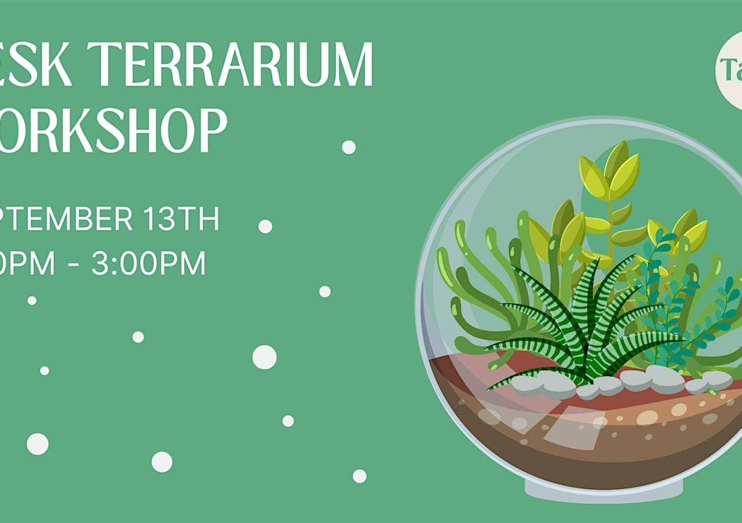 Desk Terrarium Workshop 1