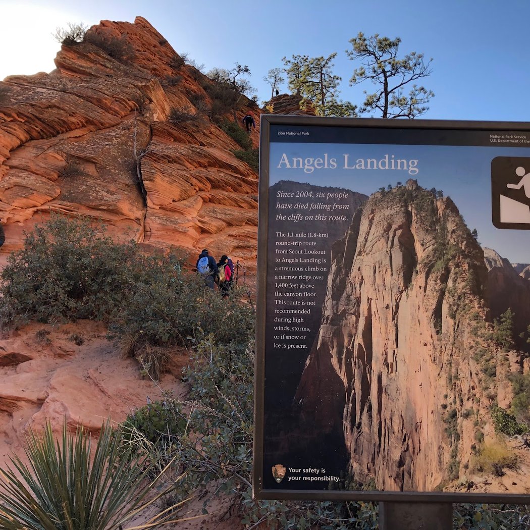 Angels Landing Trail 3