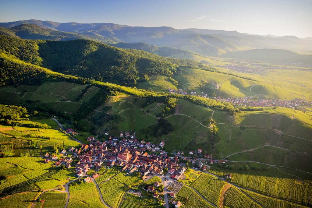 Véloroute du Vignoble 2