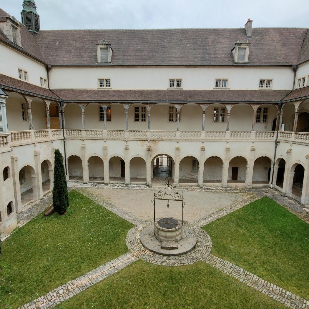 Dole Hôtel-Dieu Public Library 1