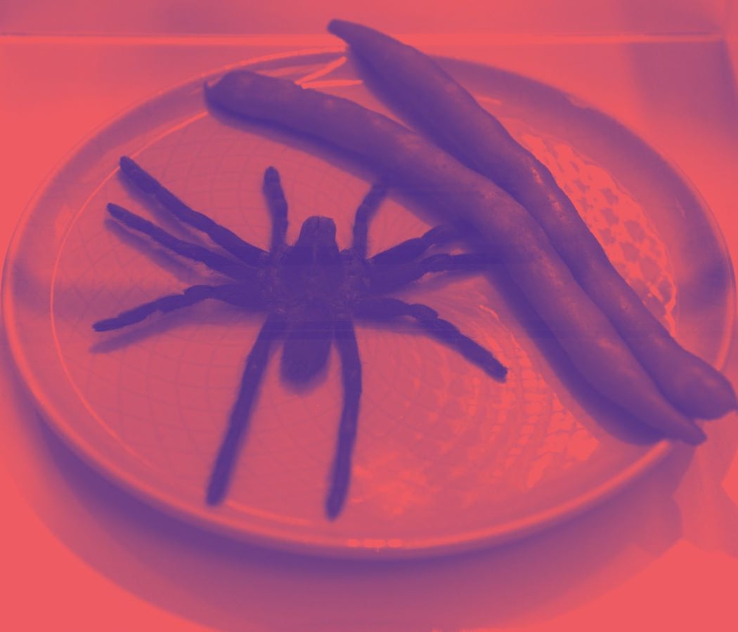 Le banquet des sorcières 1