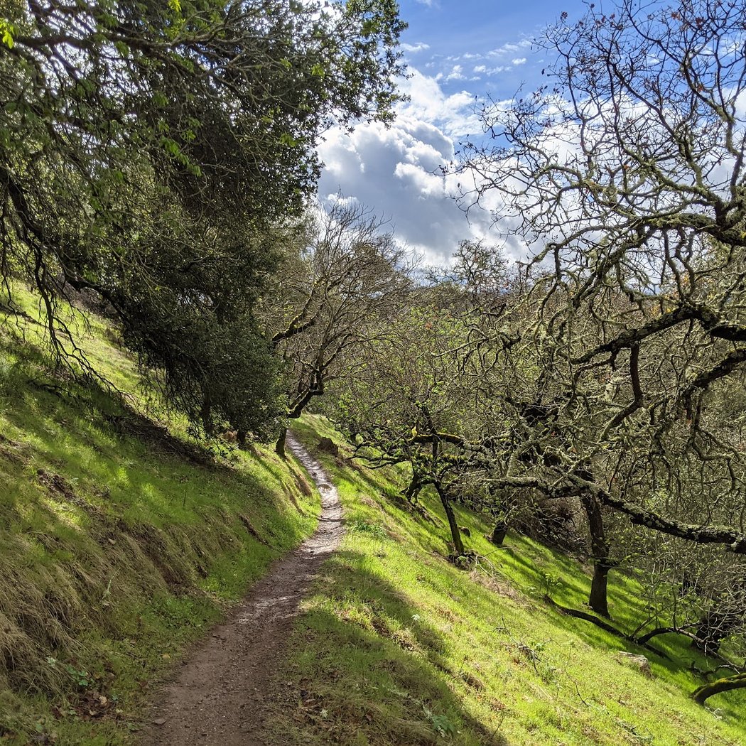 Moore Creek 2