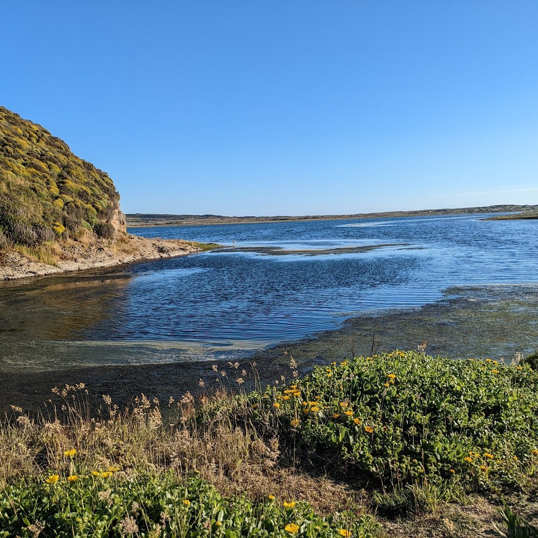 Abbotts Lagoon Trail 3