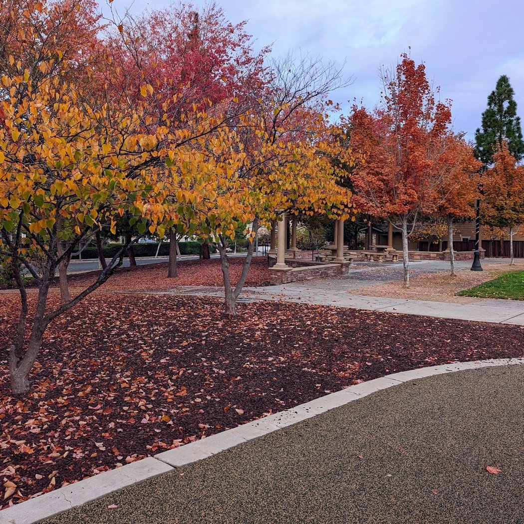 Falls Creek Park 2