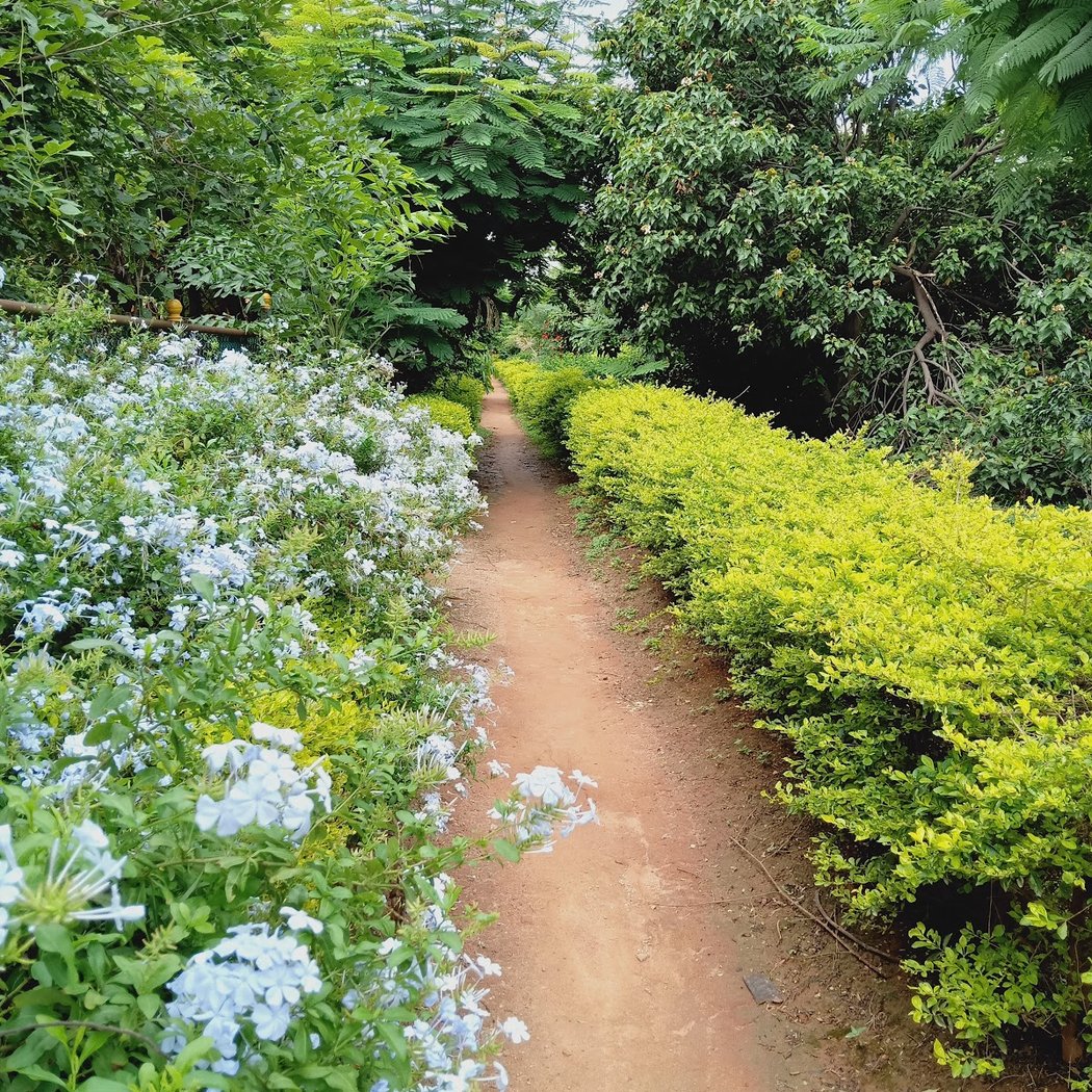 Park 1