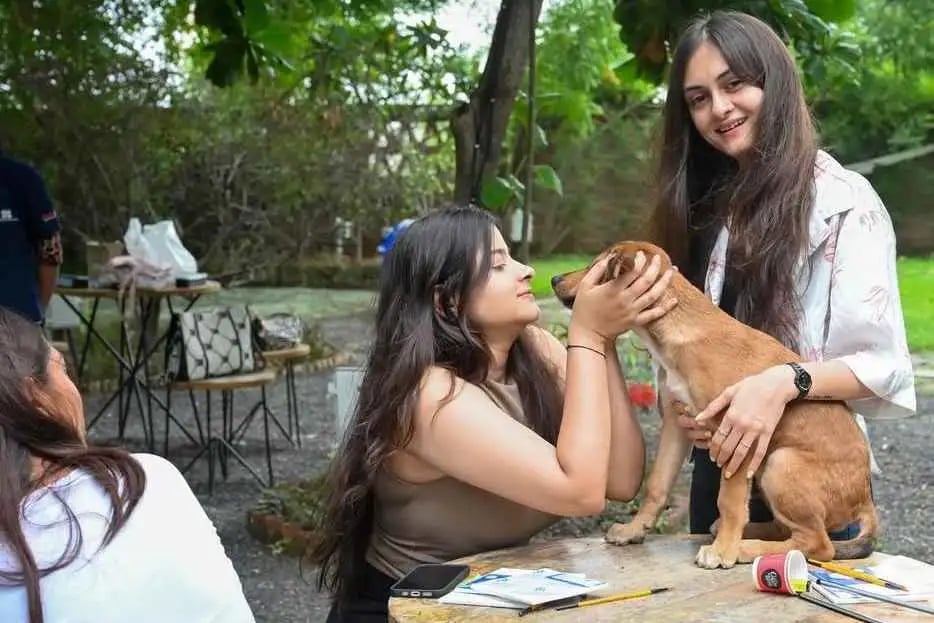 Art with Puppies 1