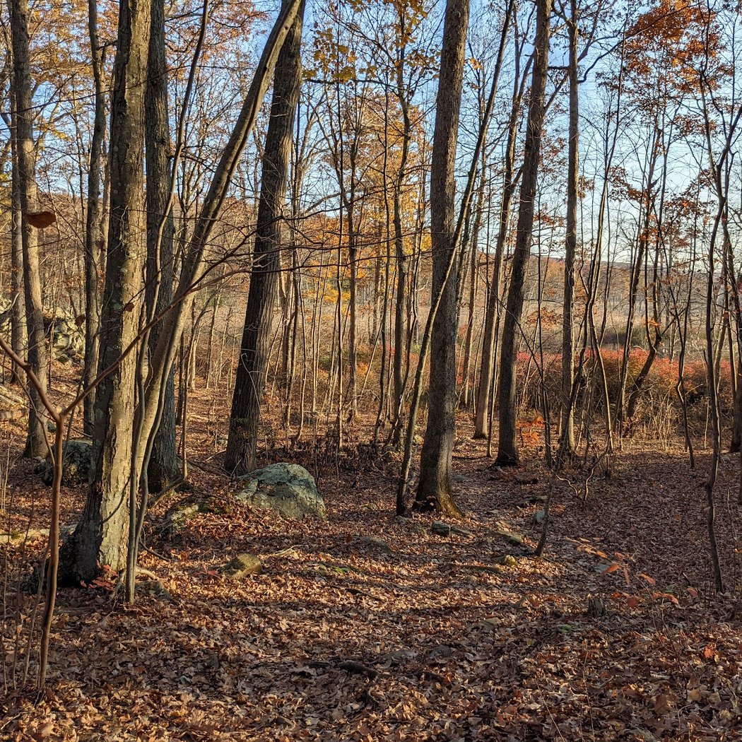 Appalachian Trail 2