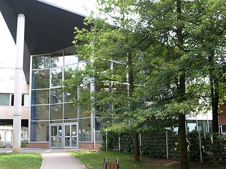 Pablo Picasso College 2