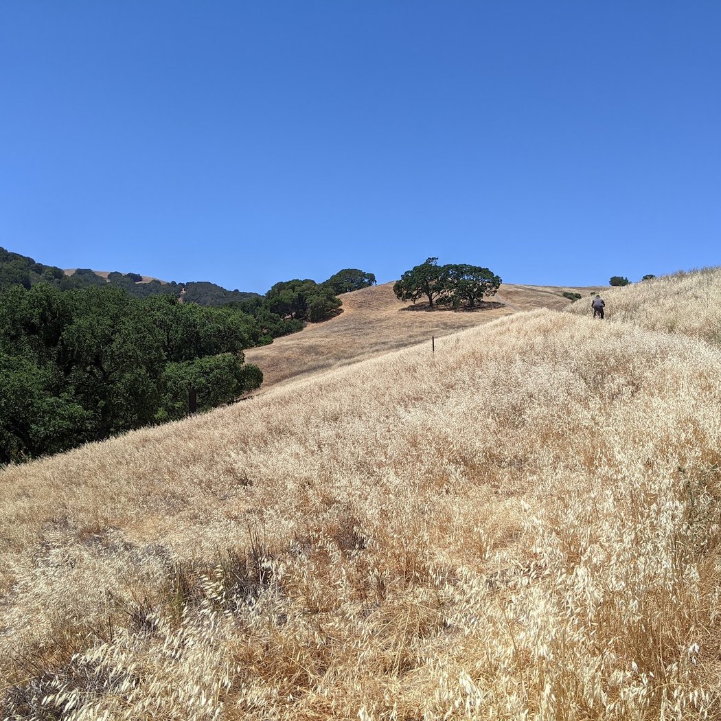 Moller Ranch Staging Area 1