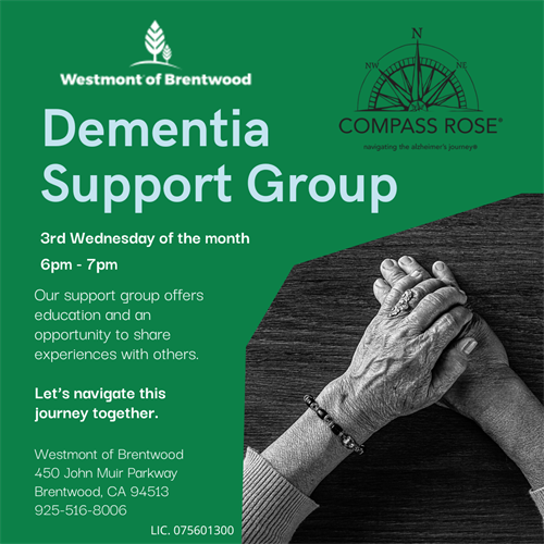 Dementia Support Group 1