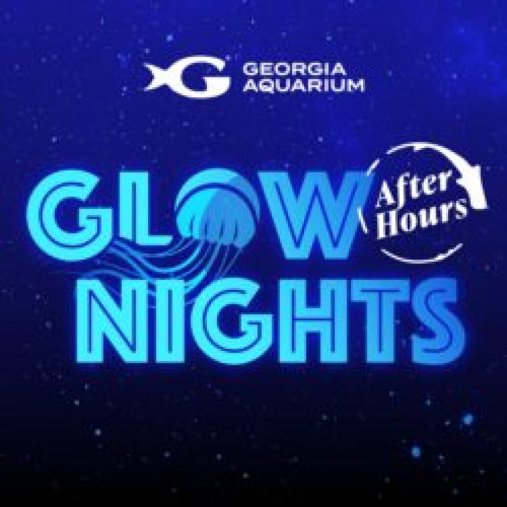 Glow Nights 2