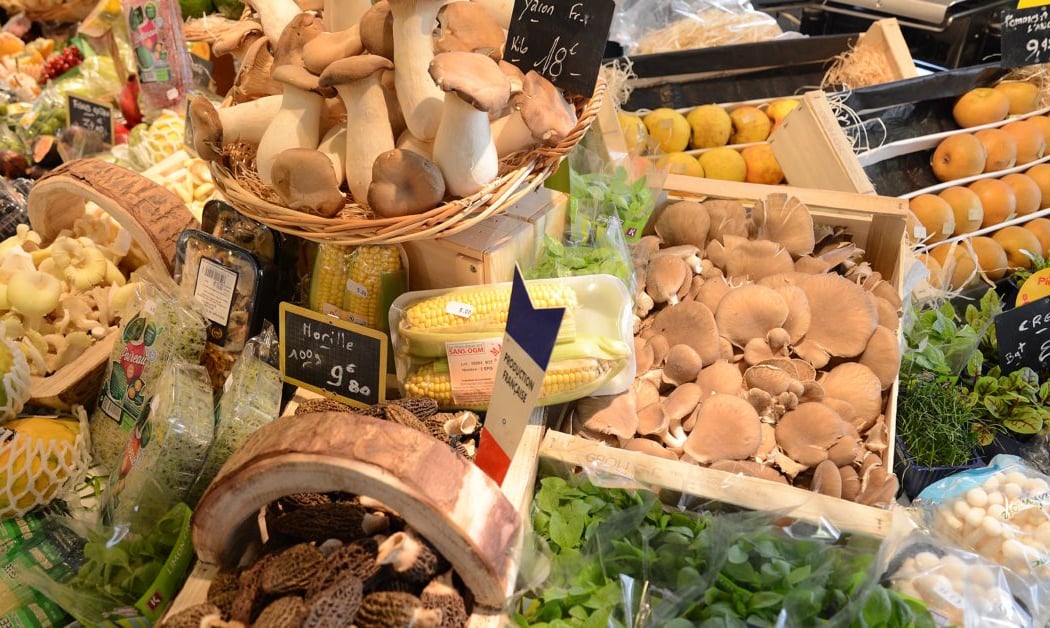 Léa Marché 1